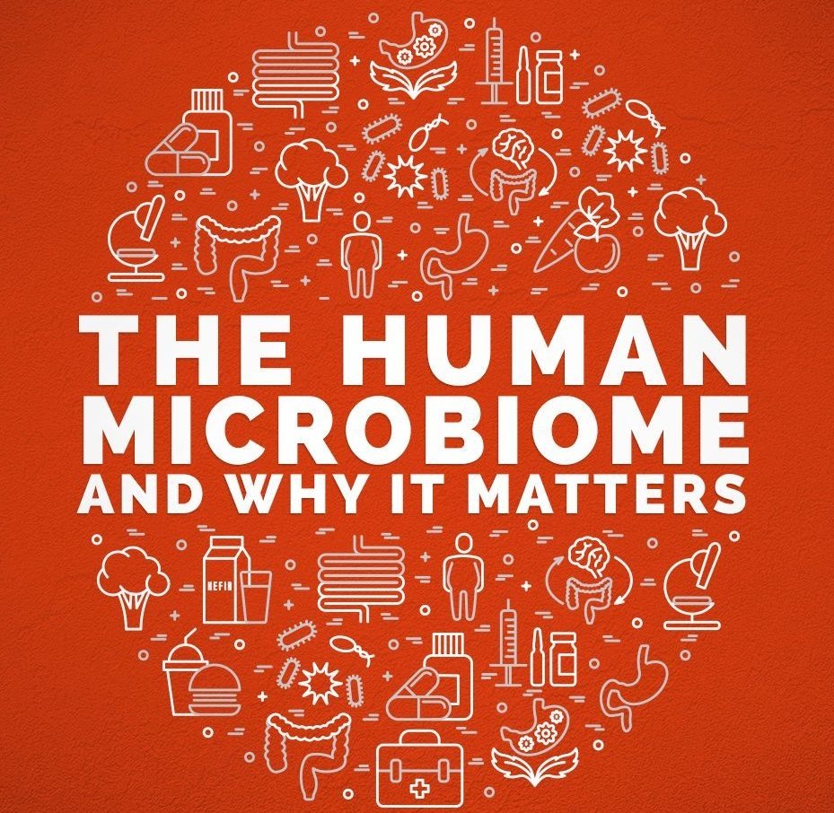 The human microbiome and the gut-brain axis