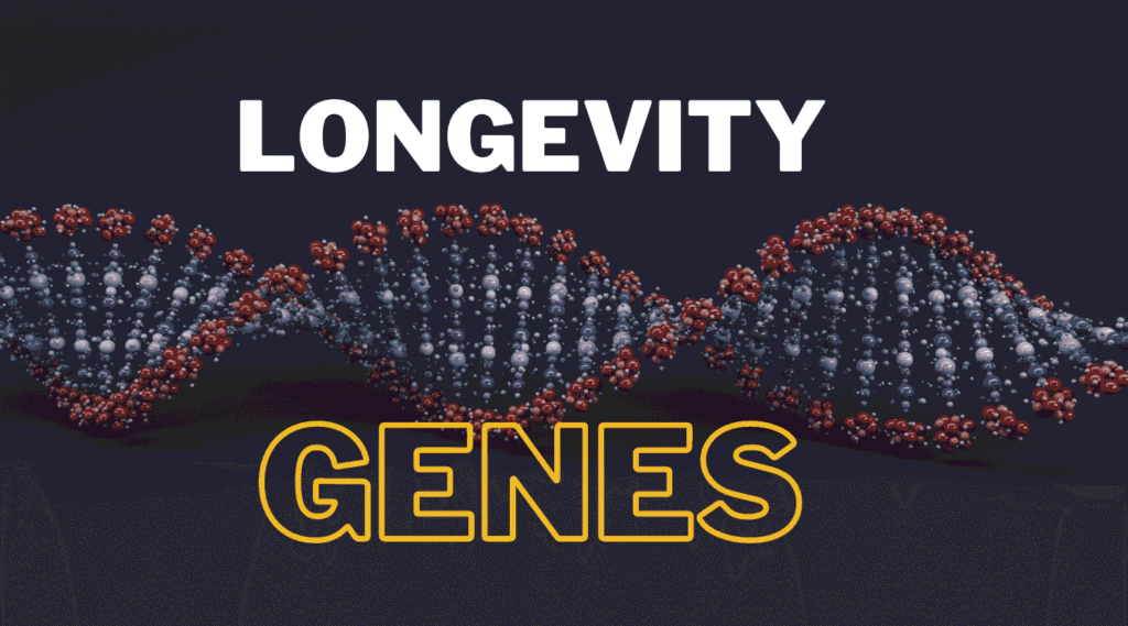 Why Do Some People Live Past 100? What Centenarian DNA Is Revealing About the Genetics of Longevity 4 Scientists studying centenarian DNA and longevity-associated gene variants