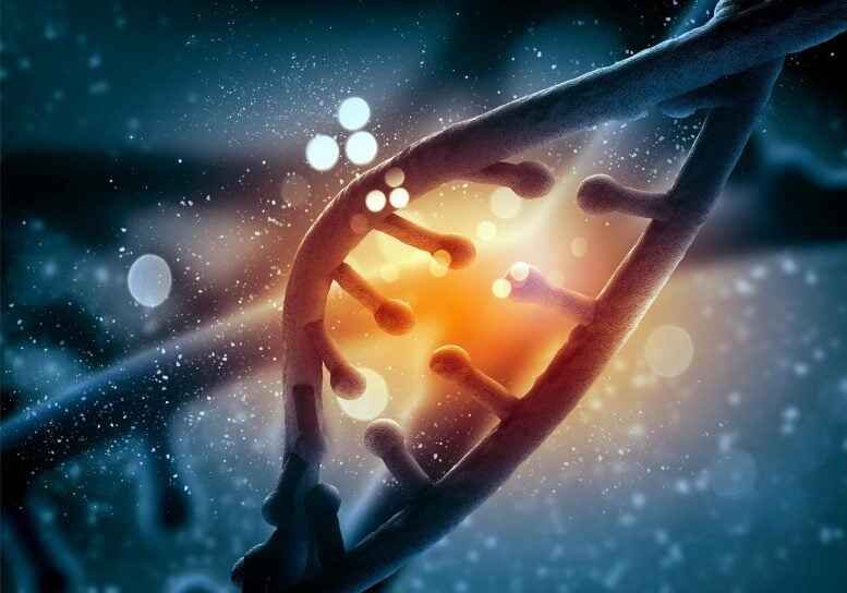 Why Do Some People Live Past 100? What Centenarian DNA Is Revealing About the Genetics of Longevity 3 Blood stem cell diversity and DNA barcodes linked to longevity in centenarians