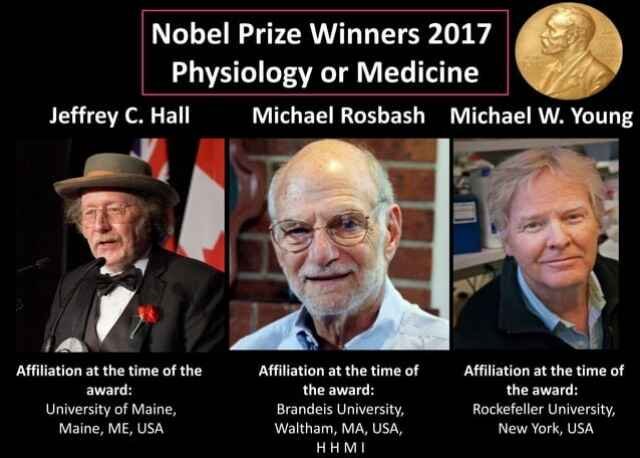 Circadian Rhythm Genetics: The 2017 Medicine Nobel Prize Explained 2 Circadian rhythm genetics Nobel prize in medicine 2017
