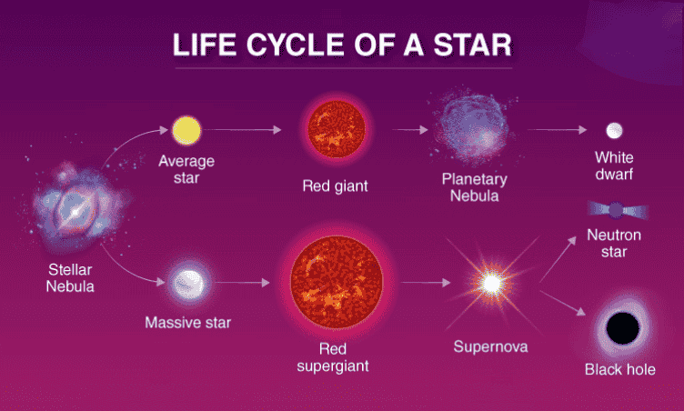 Stellar Evolution Explained: The Complete Life Cycle of Stars 2 Diagram of stellar evolution showing the complete life cycle of stars from nebula to white dwarf and supernova