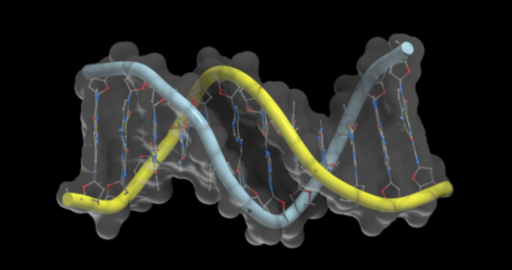Mitochondrial Donation: The Science Behind Three-Person Babies and the End of Inherited Disease 3 Laboratory genetic research into mitochondrial DNA and inherited disease