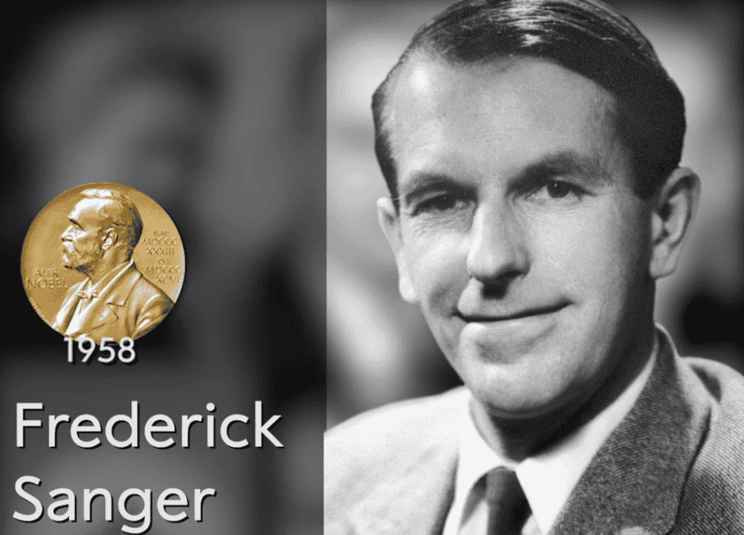 Five Scientists Who Won the Nobel Prize Twice — and What Their Lives Tell Us About Curiosity 4 Frederick Sanger, double Nobel laureate in Chemistry