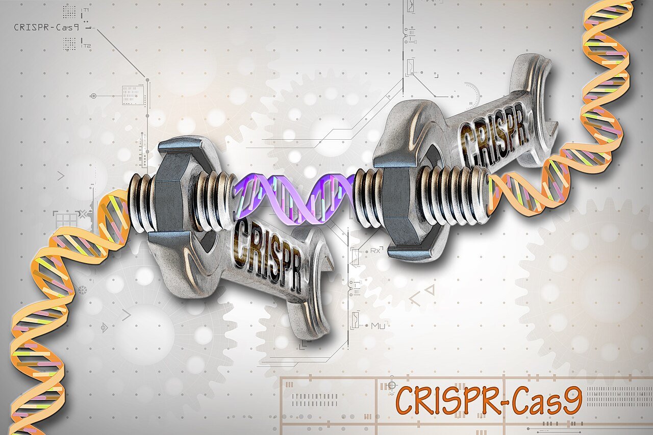 CRISPR Gene Editing Technology — Medical Breakthrough 2026