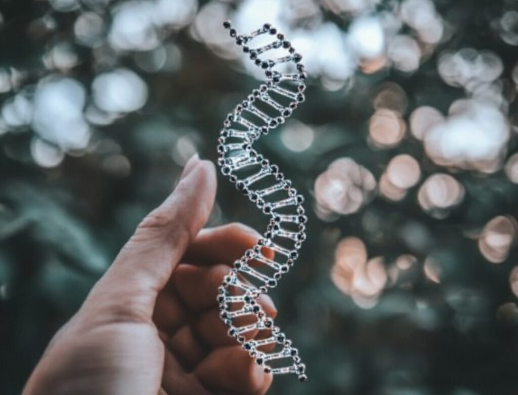 Epigenetics: How Your Environment and Experiences Shape the Way Your Genes Work 3 Environmental factors such as diet, stress and toxins leaving epigenetic marks on the genome across generations