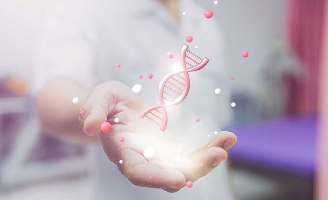 Epigenetics: How Your Environment and Experiences Shape the Way Your Genes Work