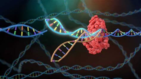 What Is CRISPR? The Gene Editing Revolution That Is Rewriting Human Medicine 3 CRISPR gene editing applied to cancer, heart disease and blindness