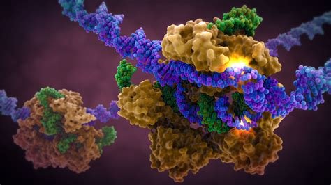 What Is CRISPR? The Gene Editing Revolution That Is Rewriting Human Medicine 4 CRISPR applications in agriculture, diagnostics and ecology