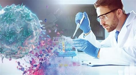 What Are Senolytics? The Anti-Ageing Science Moving from Mouse Labs to Human Trials 4 Senolytics and cellular senescence in ageing