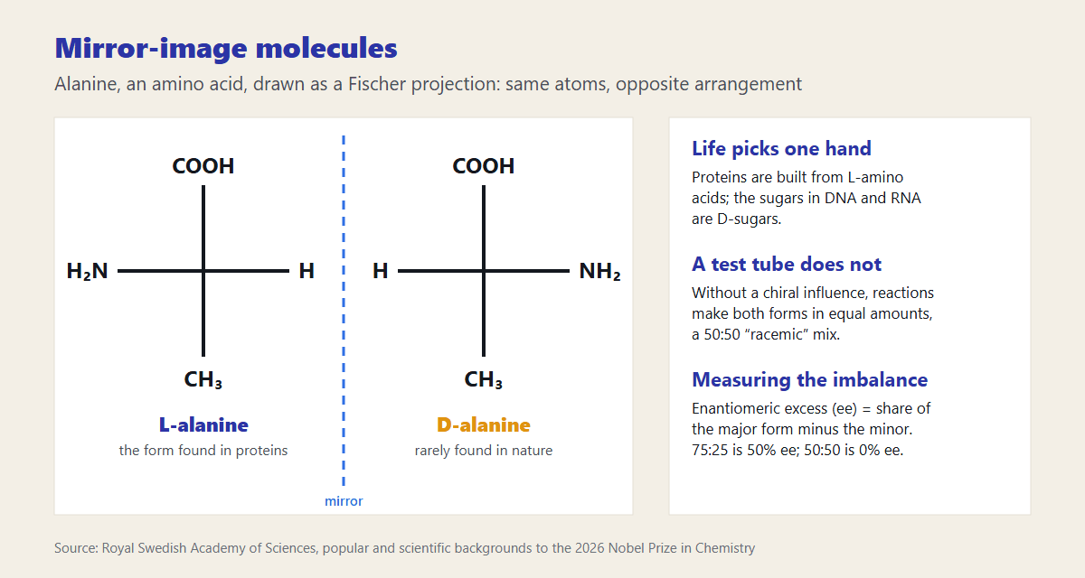 Fischer projections of L-alanine and D-alanine on either side of a mirror line, with notes that proteins use L-amino acids, DNA and RNA use D-sugars, and ordinary reactions make a 50:50 racemic mix