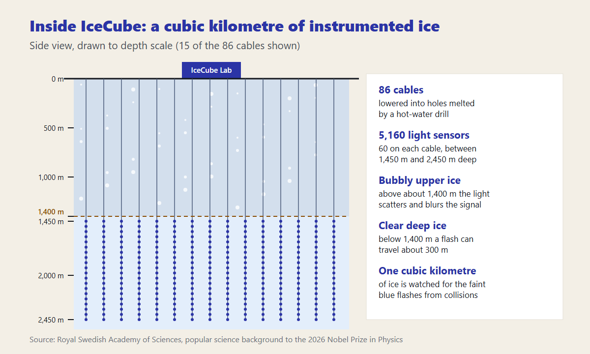 2026 Nobel Prize in Physics: How IceCube Caught Neutrinos from Deep Space 3 Side-view diagram of the IceCube detector: 86 cables carrying 5,160 light sensors between 1,450 and 2,450 metres deep, below bubbly upper ice and the IceCube Laboratory on the surface