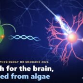 optogenetics nobel 2026 cover v2