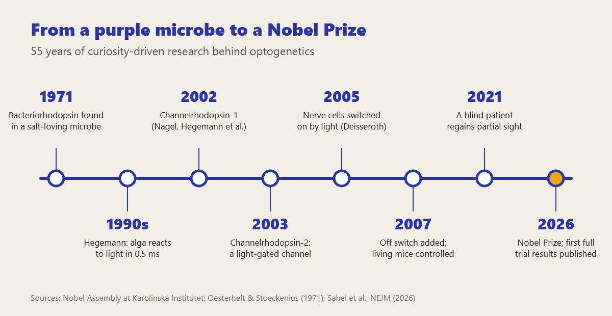 Timeline of optogenetics from the discovery of bacteriorhodopsin in 1971 to the 2026 Nobel Prize and first full trial results